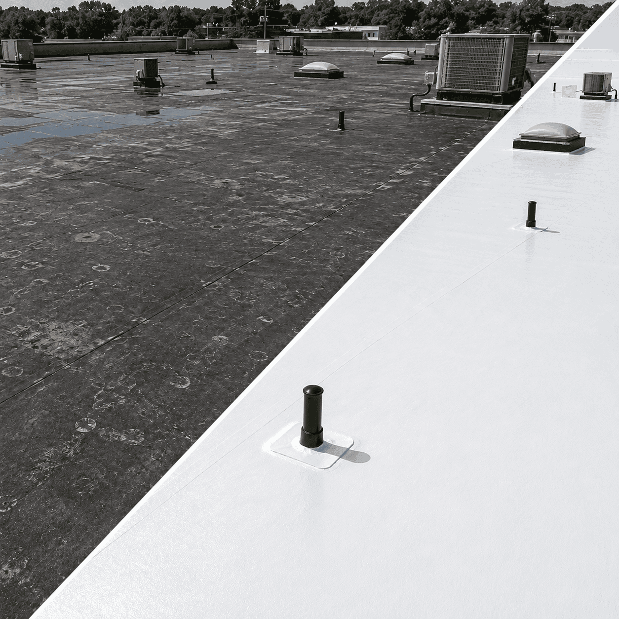 EPDM Roofs